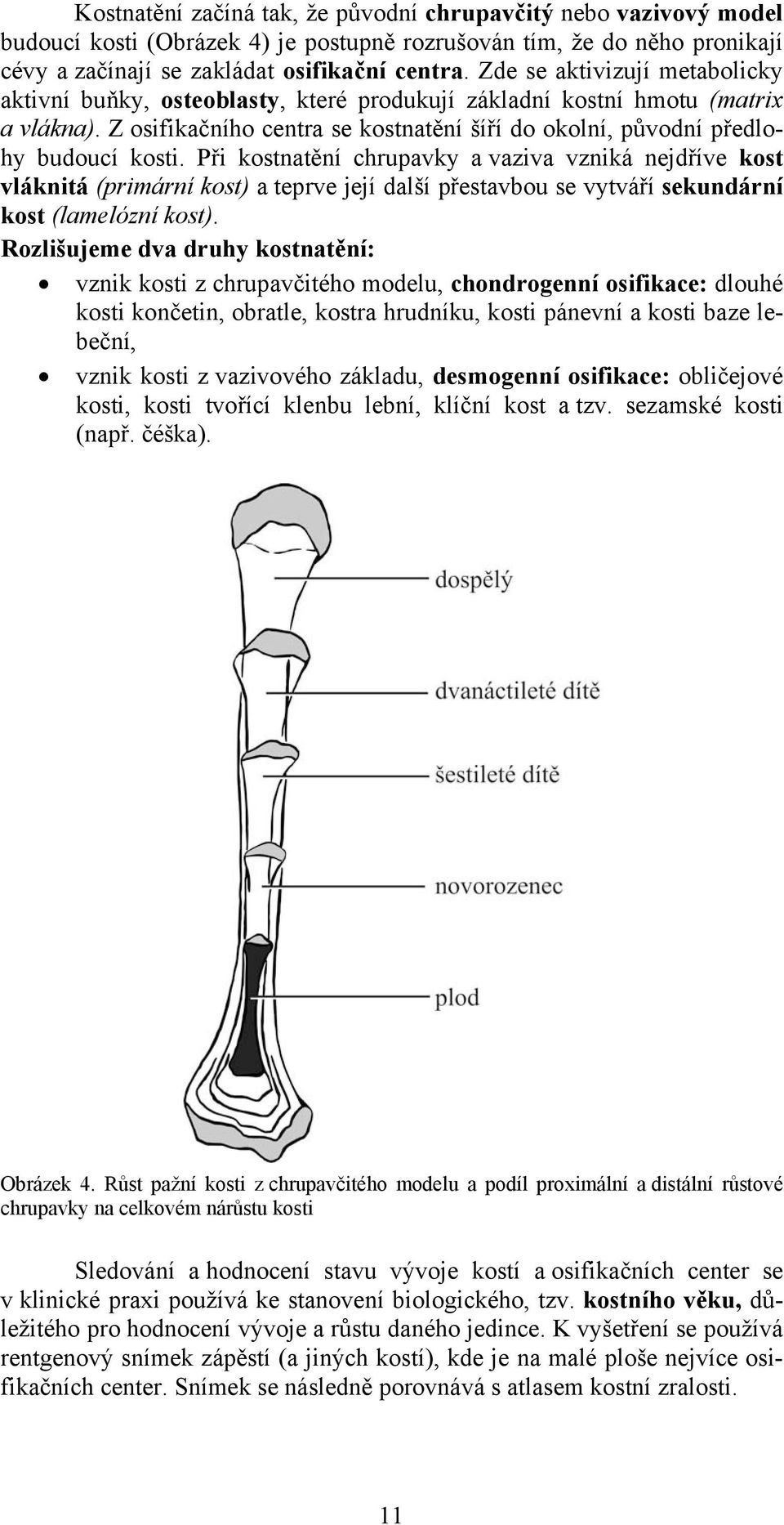 Při kostnatění chrupavky a vaziva vzniká nejdříve kost vláknitá (primární kost) a teprve její další přestavbou se vytváří sekundární kost (lamelózní kost).