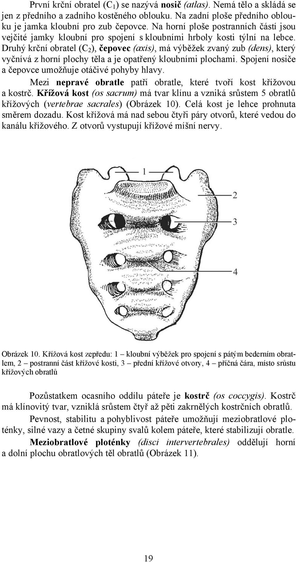 Druhý krční obratel (C 2 ), čepovec (axis), má výběžek zvaný zub (dens), který vyčnívá z horní plochy těla a je opatřený kloubními plochami. Spojení nosiče a čepovce umožňuje otáčivé pohyby hlavy.