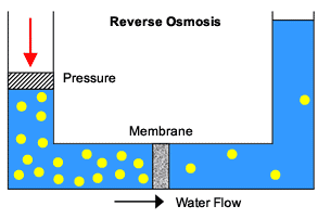Reverzní osmóza (RO) Reverzní osmóza je proces opačný, než je osmóza.
