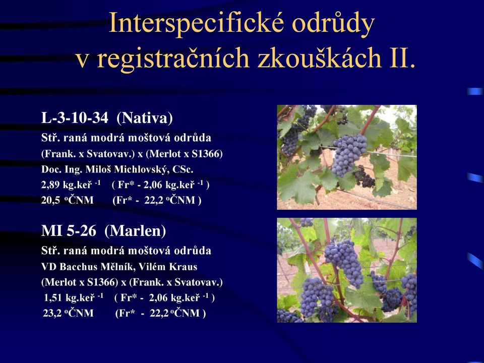 keř -1 ( Fr* - 2,06 kg.keř -1 ) 20,5 o ČNM (Fr* - 22,2 o ČNM ) MI 5-26 (Marlen) Stř.
