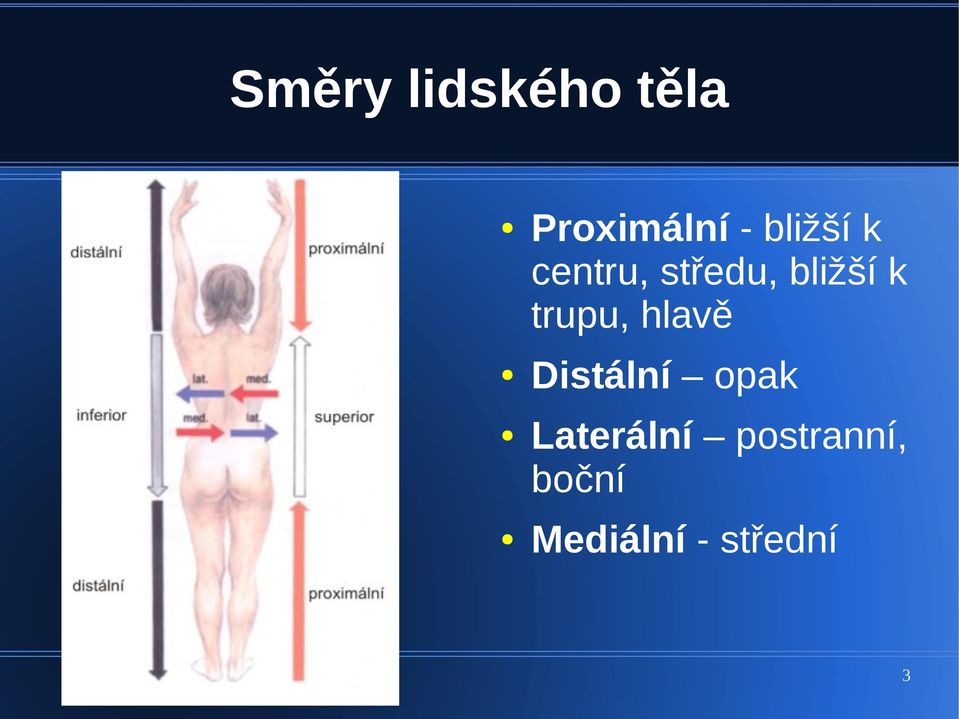 trupu, hlavě Distální opak