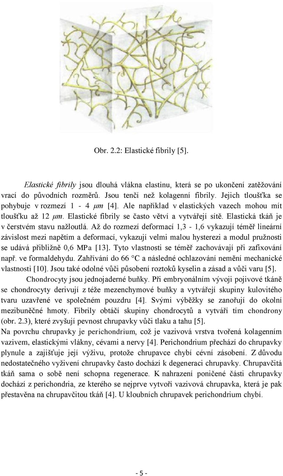 Elastická tkáň je v čerstvém stavu nažloutlá.