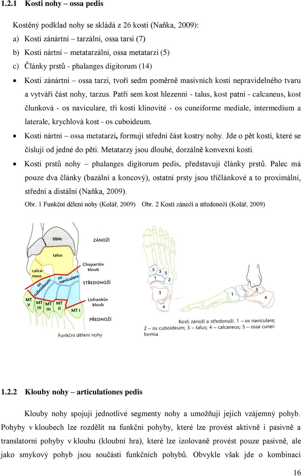 Patří sem kost hlezenní - talus, kost patní - calcaneus, kost člunková - os naviculare, tři kosti klínovité - os cuneiforme mediale, intermedium a laterale, krychlová kost - os cuboideum.