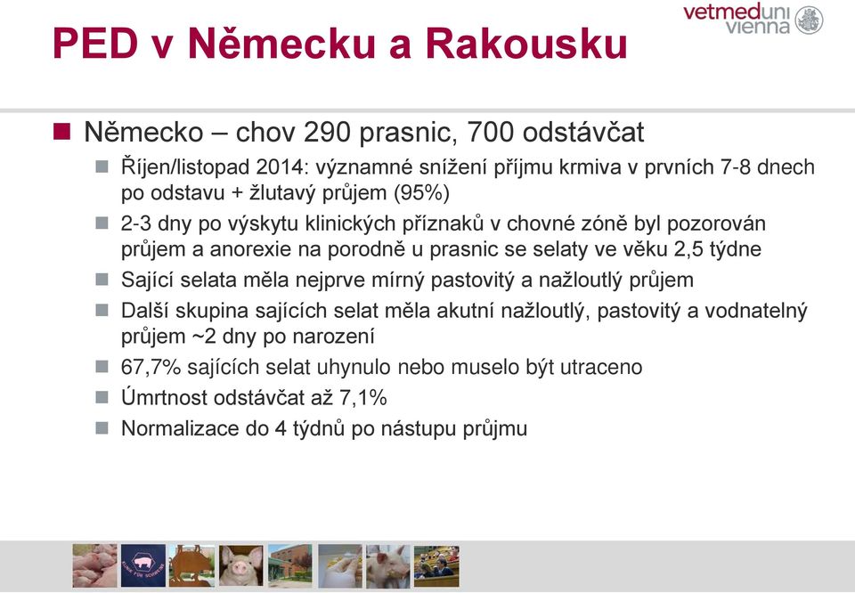 2,5 týdne Sající selata měla nejprve mírný pastovitý a nažloutlý průjem Další skupina sajících selat měla akutní nažloutlý, pastovitý a vodnatelný