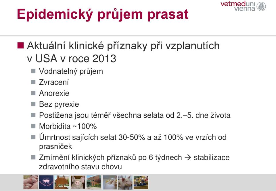 2. 5. dne života Morbidita ~100% Úmrtnost sajících selat 30-50% a až 100% ve vrzích od