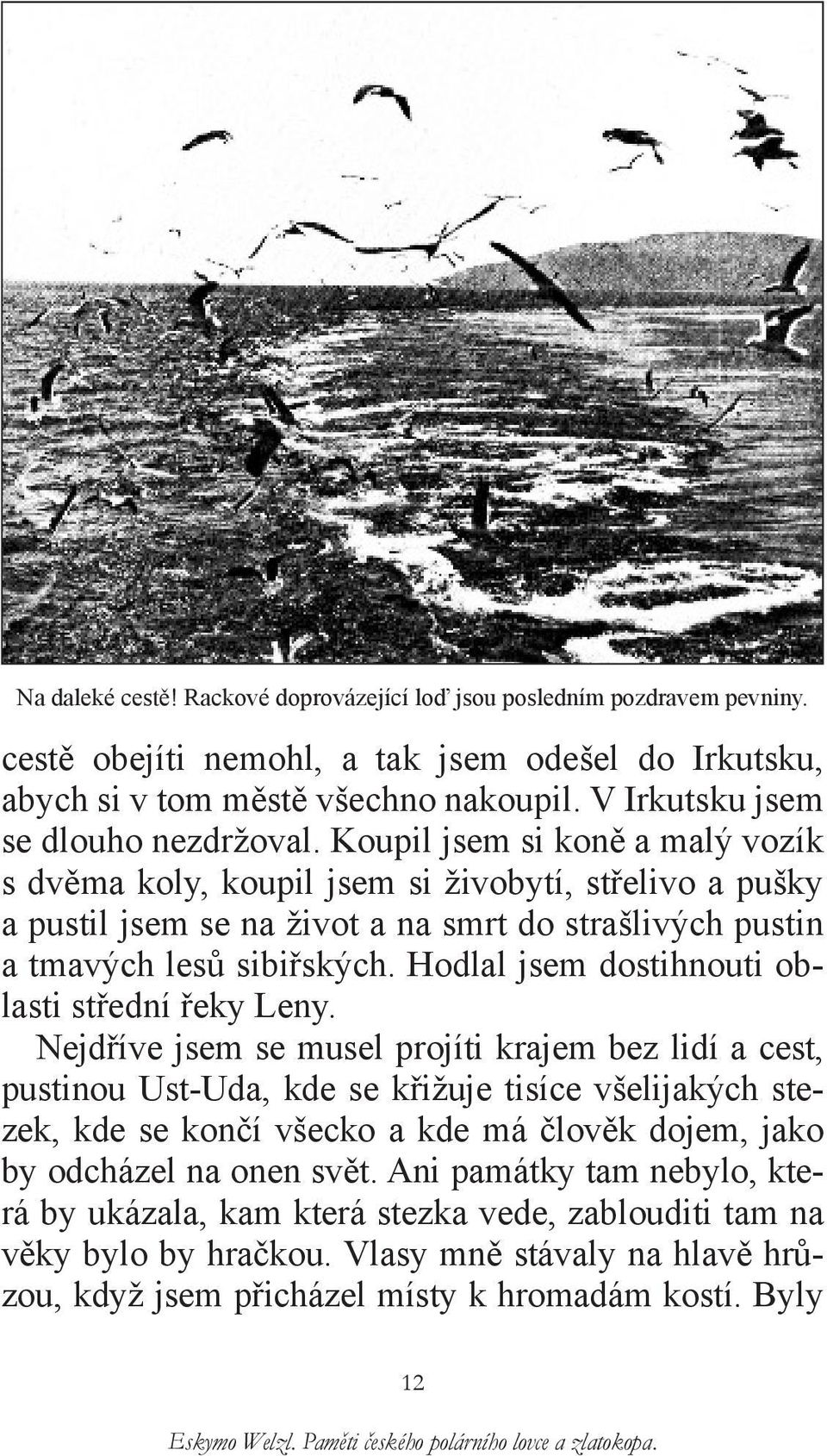 Koupil jsem si koně a malý vozík s dvěma koly, koupil jsem si živobytí, střelivo a pušky a pustil jsem se na život a na smrt do strašlivých pustin a tmavých lesů sibiřských.