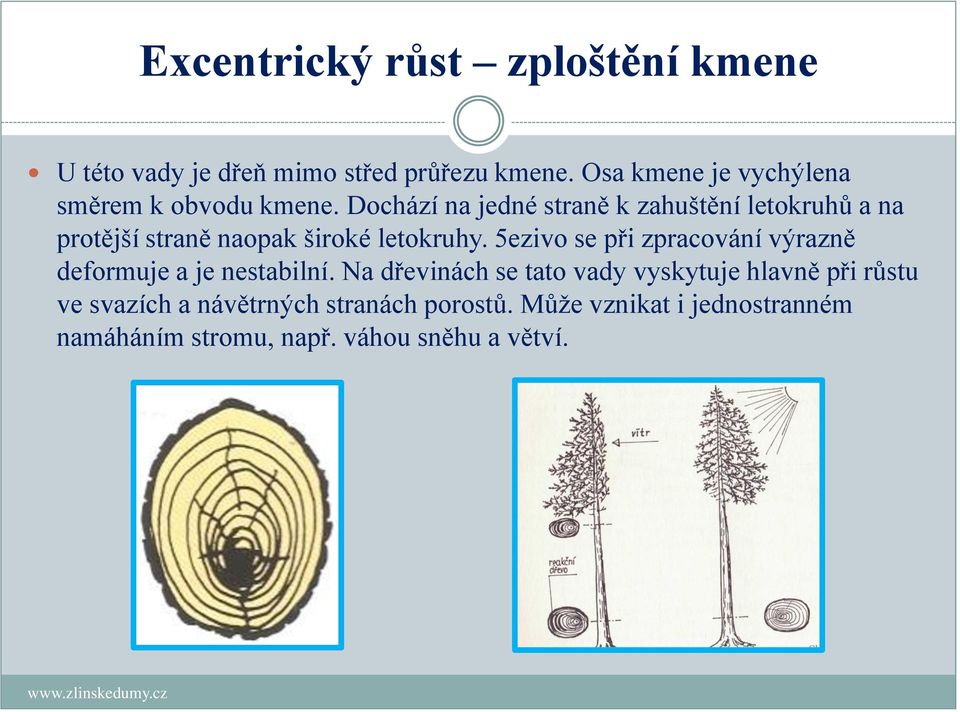 Dochází na jedné straně k zahuštění letokruhů a na protější straně naopak široké letokruhy.