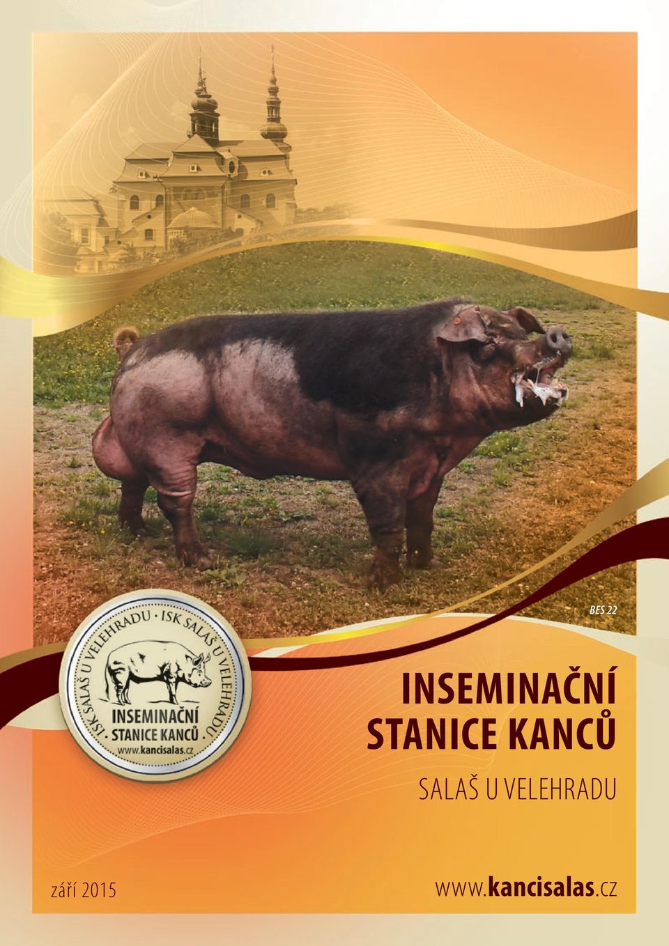 STANICE KANCŮ