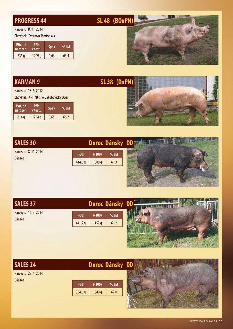 2014 Dánsko Duroc Dánský DD (-30) (-100) 414,3 g 1080 g 61,3 SALES 37