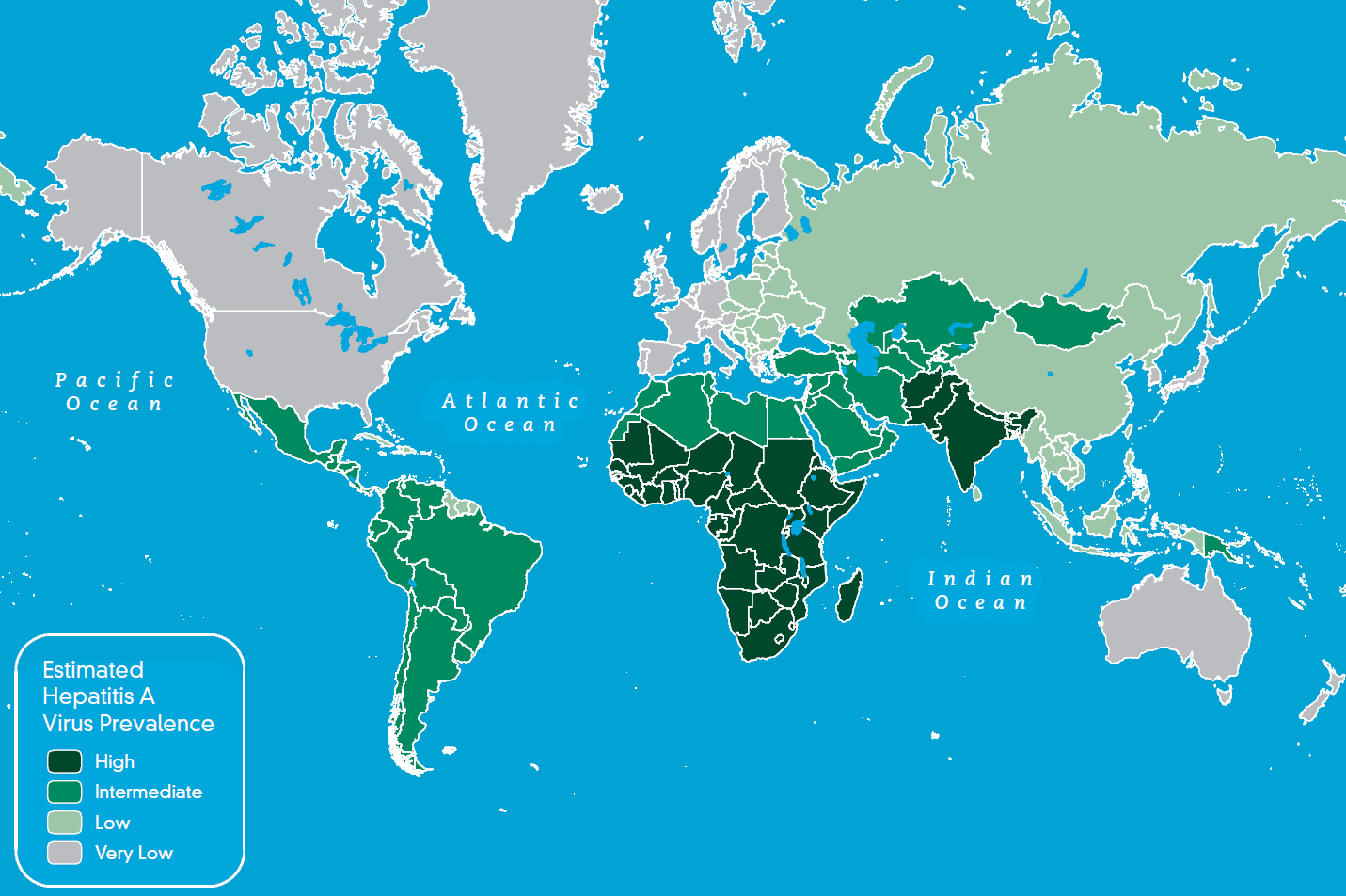 Virová hepatitida A 1,4