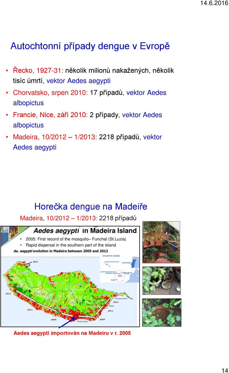 2010: 2 případy, vektor Aedes albopictus Madeira, 10/2012 1/2013: 2218 případů, vektor Aedes aegypti
