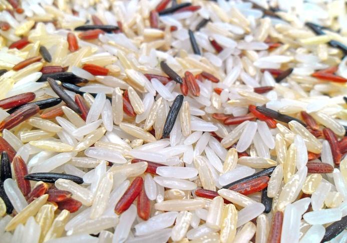 existuje řada odrůd rýže, liší se od sebe velikostí, tvarem (jehličkovitá, oválná, vejčitá), průsvitností zrn (sklovitá, mléčná) Na trhu je rýže loupaná, neloupaná, předvařená, parboiled
