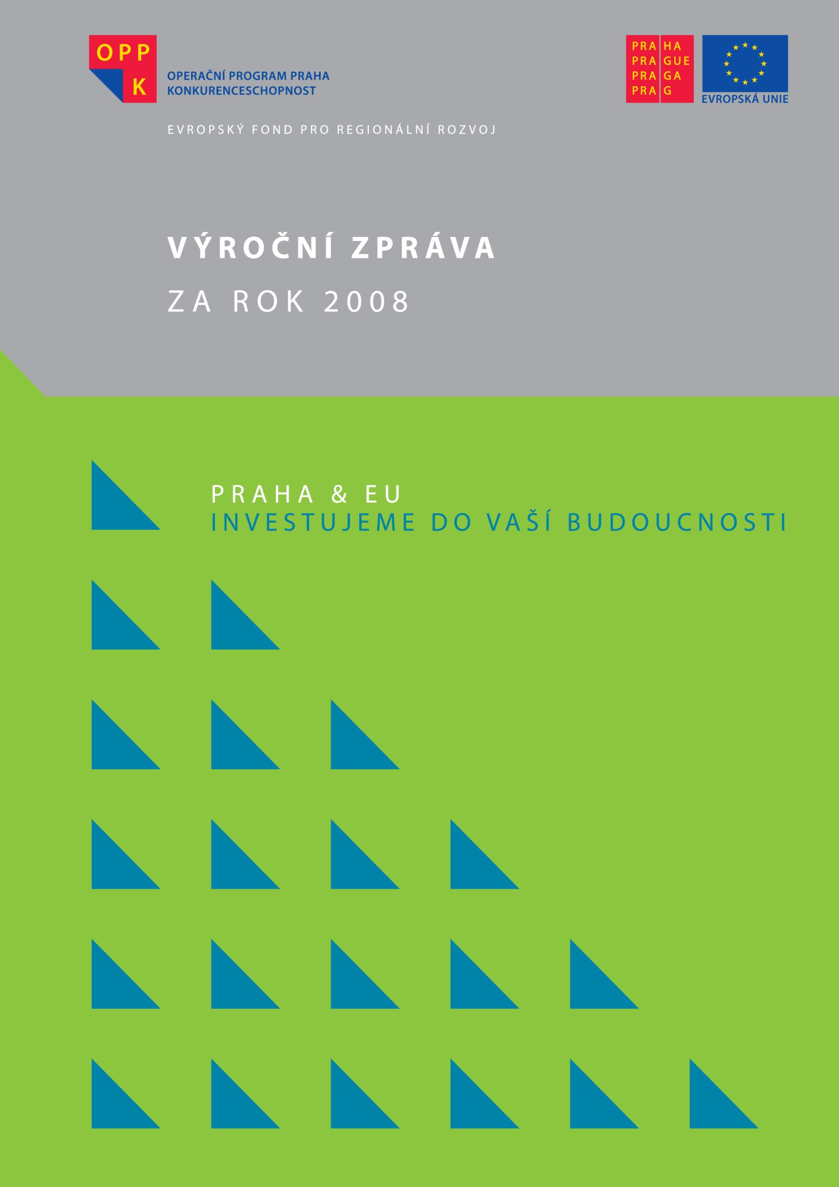 ROK 2008 Výroční zpráva o realizaci