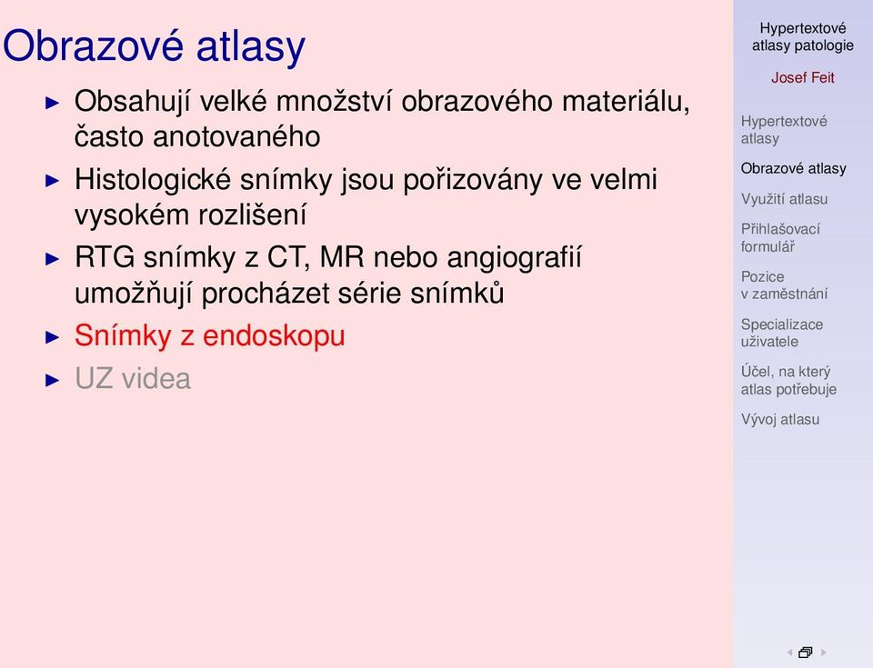 vysokém rozlišení RTG snímky z CT, MR nebo angiografií