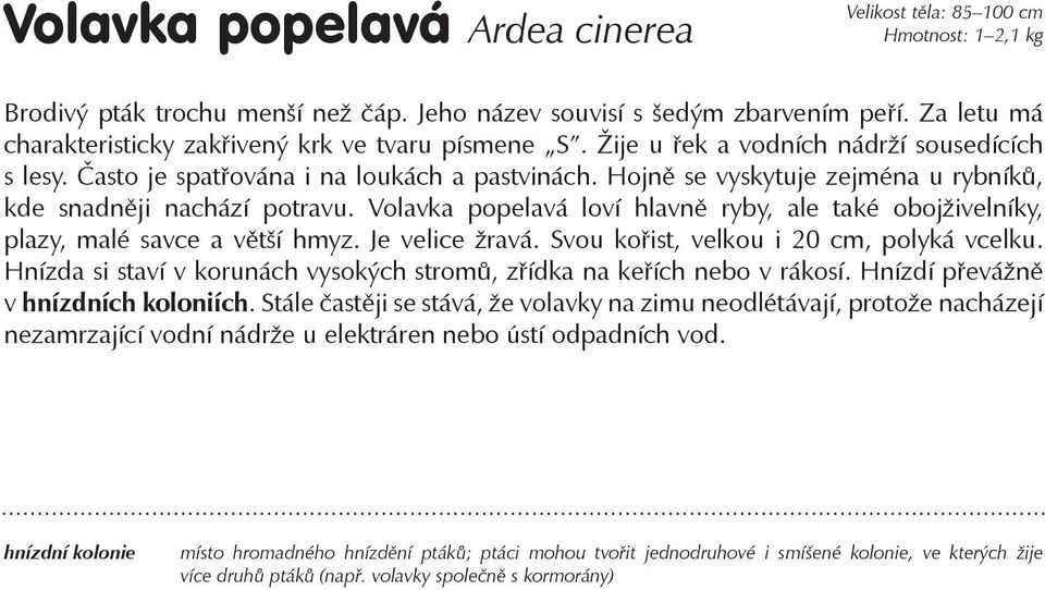 Hojně se vyskytuje zejména u rybníků, kde snadněji nachází potravu. Volavka popelavá loví hlavně ryby, ale také obojživelníky, plazy, malé savce a větší hmyz. Je velice žravá.