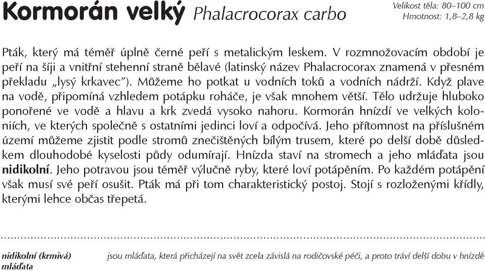 Když plave na vodě, připomíná vzhledem potápku roháče, je však mnohem větší. Tělo udržuje hluboko ponořené ve vodě a hlavu a krk zvedá vysoko nahoru.