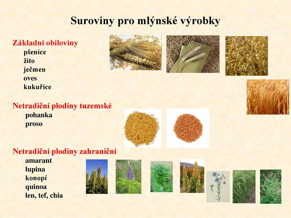 proso Suroviny pro mlýnské výrobky Netradiční