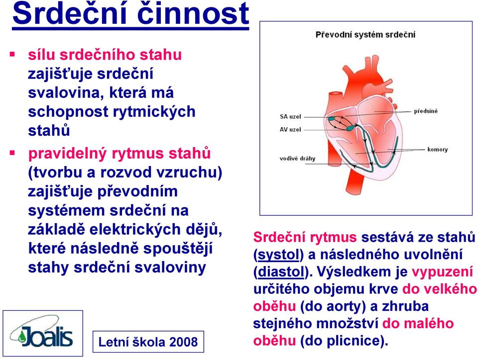 následně spouštějí stahy srdeční svaloviny Srdeční rytmus sestává ze stahů (systol) a následného uvolnění (diastol).