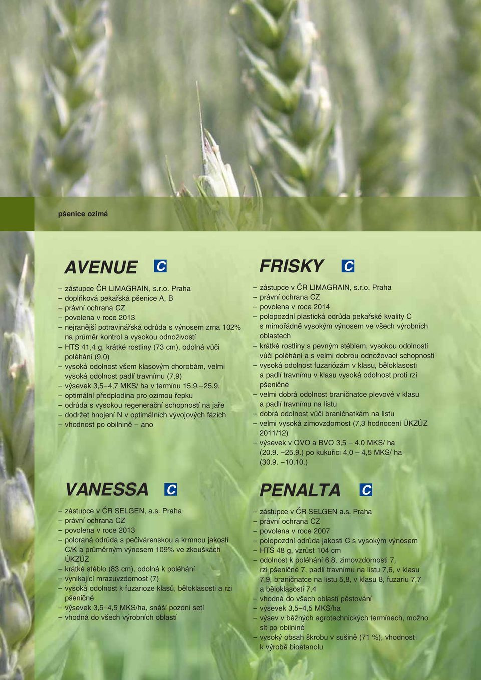 Praha - doplňková pekařská pšenice A, B - povolena v roce 2013 - nejranější potravinářská odrůda s výnosem zrna 102% na průměr kontrol a vysokou odnoživostí - HTS 41,4 g, krátké rostliny (73 cm),