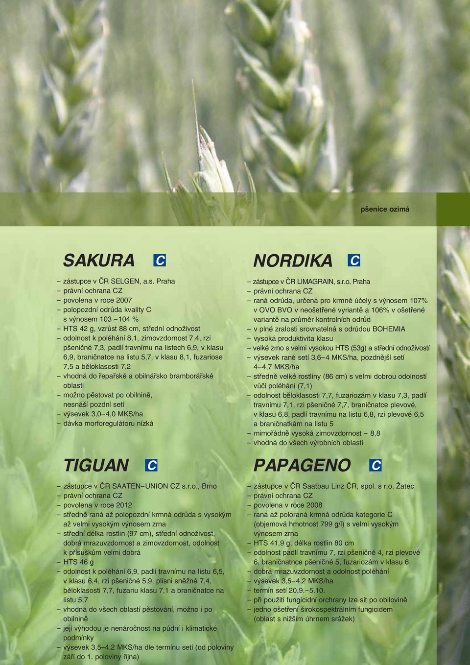 Praha - povolena v roce 2007 - polopozdní odrůda kvality C s výnosem 103-104 % - HTS 42 g, vzrůst 88 cm, střední odnoživost - odolnost k poléhání 8,1, zimovzdornost 7,4, rzi pšeničné 7,3, padlí