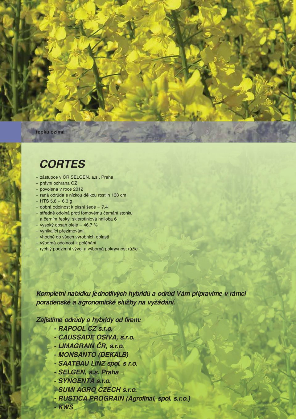 , Praha - povolena v roce 2012 - raná odrůda s nízkou délkou rostlin 138 cm - HTS 5,8-6,3 g - dobrá odolnost k plísni šedé - 7,4 - středně odolná proti fomovému černání stonku a černím řepky,