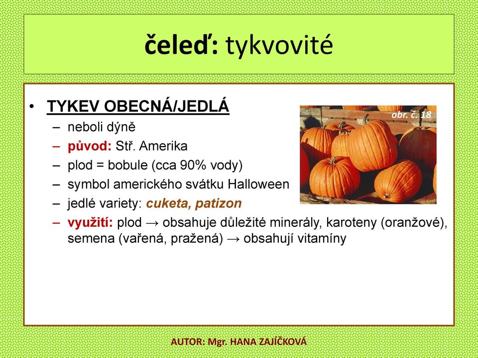 Halloween jedlé variety: cuketa, patizon obr. č.