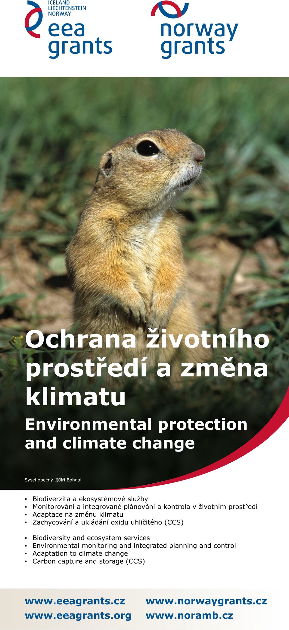 Adaptace na změnu klimatu Zachycování a ukládání oxidu uhličitého (CCS) Biodiversity and ecosystem services