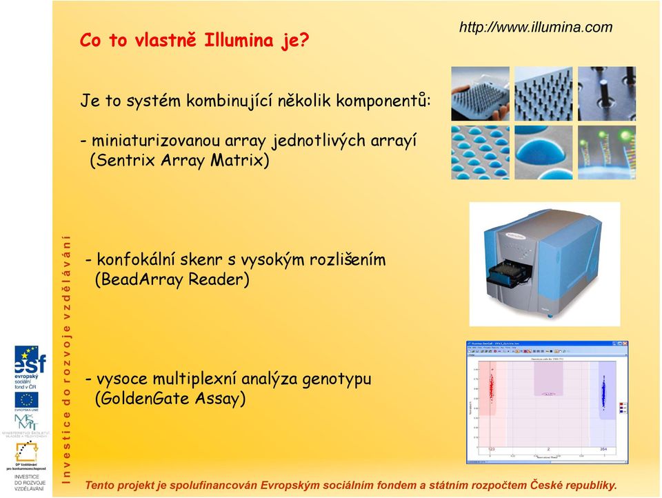 array jednotlivých arrayí (Sentrix Array Matrix) - konfokální skenr s