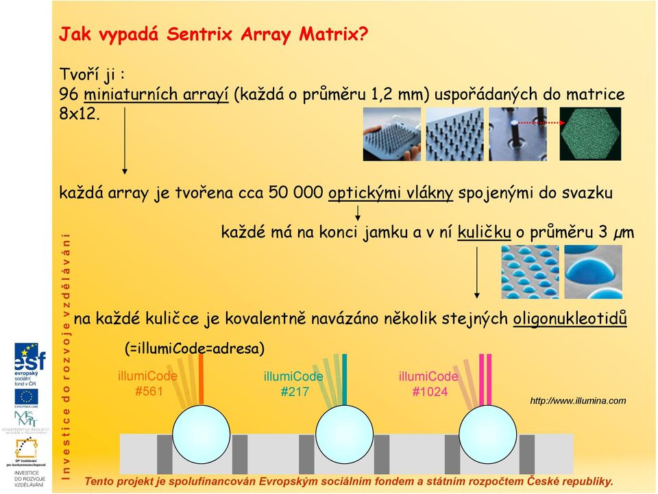 každá array je tvořena cca 50 000 optickými vlákny spojenými do svazku každé má na konci jamku a v ní kuličku