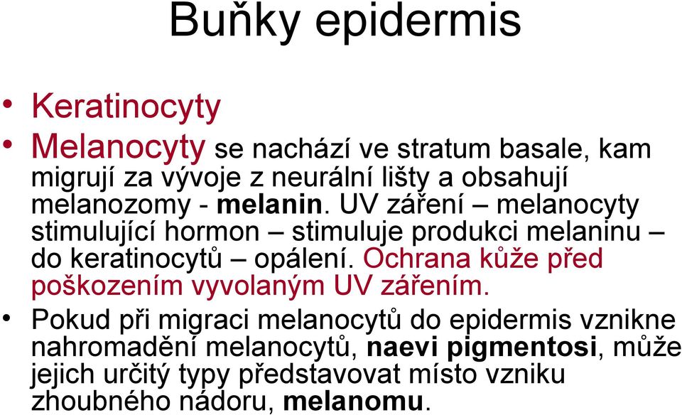 UV záření melanocyty stimulující hormon stimuluje produkci melaninu do keratinocytů opálení.