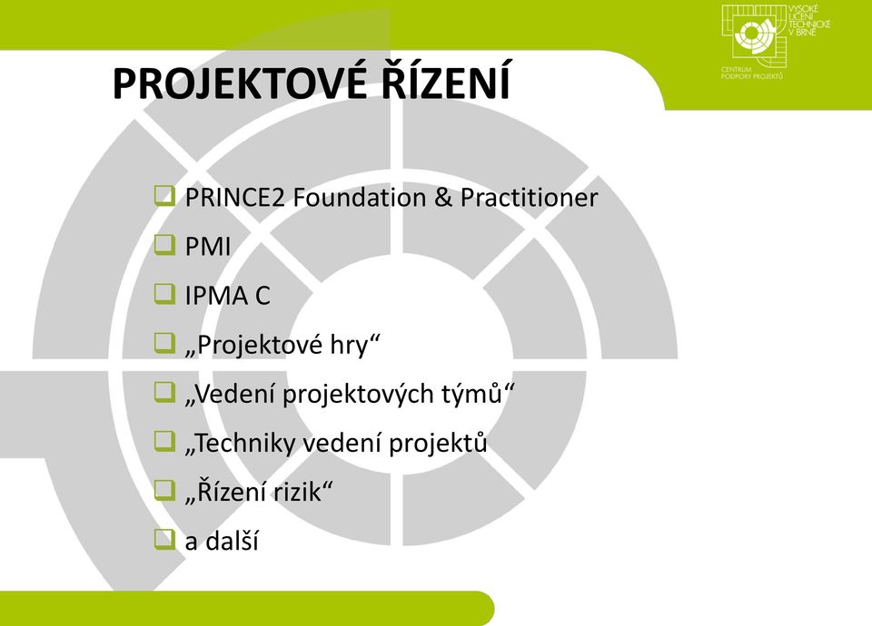 hry Vedení projektových týmů