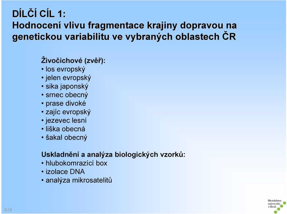 srnec obecný prase divoké zajíc evropský jezevec lesní liška obecná šakal obecný