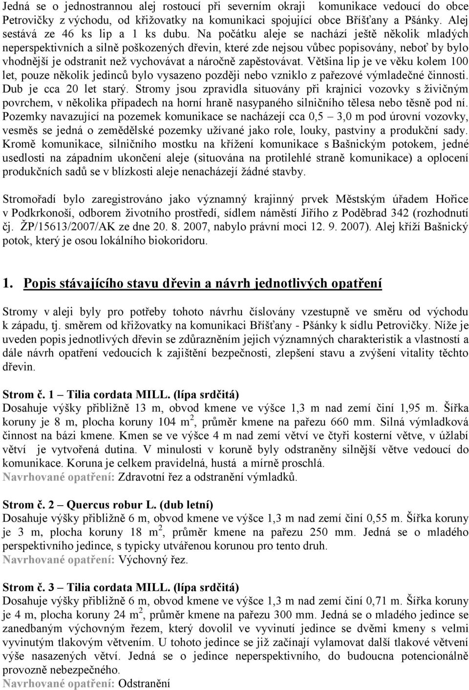 Na počátku aleje se nachází ještě několik mladých neperspektivních a silně poškozených dřevin, které zde nejsou vůbec popisovány, neboť by bylo vhodnější je odstranit neţ vychovávat a náročně