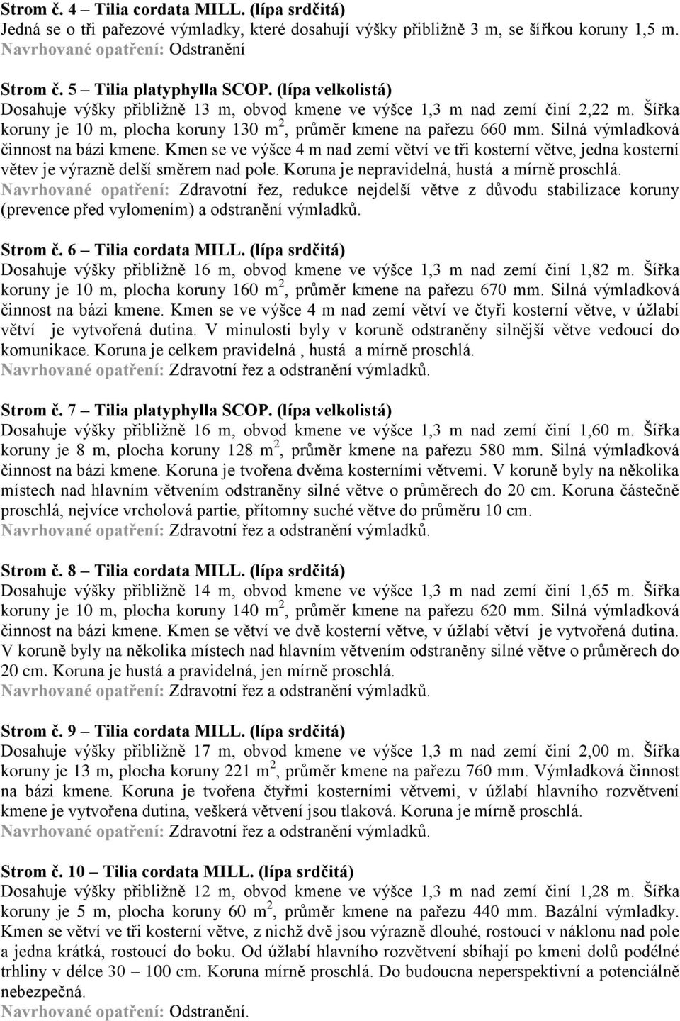 Silná výmladková činnost na bázi kmene. Kmen se ve výšce 4 m nad zemí větví ve tři kosterní větve, jedna kosterní větev je výrazně delší směrem nad pole.