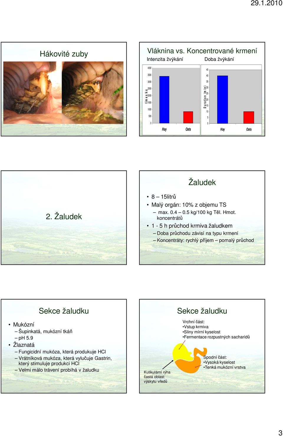 Žaludek 8 15litr Malý orgán: 10% z objemu TS max. 0.4 0.5 kg/100 kg Tl. Hmot.