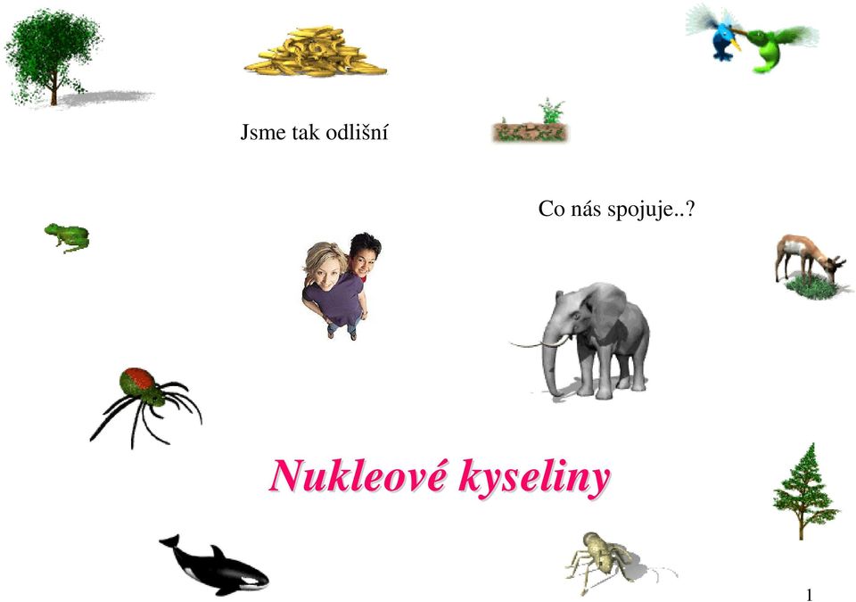 nás spojuje.