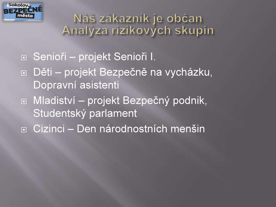 Dopravní asistenti Mladiství projekt