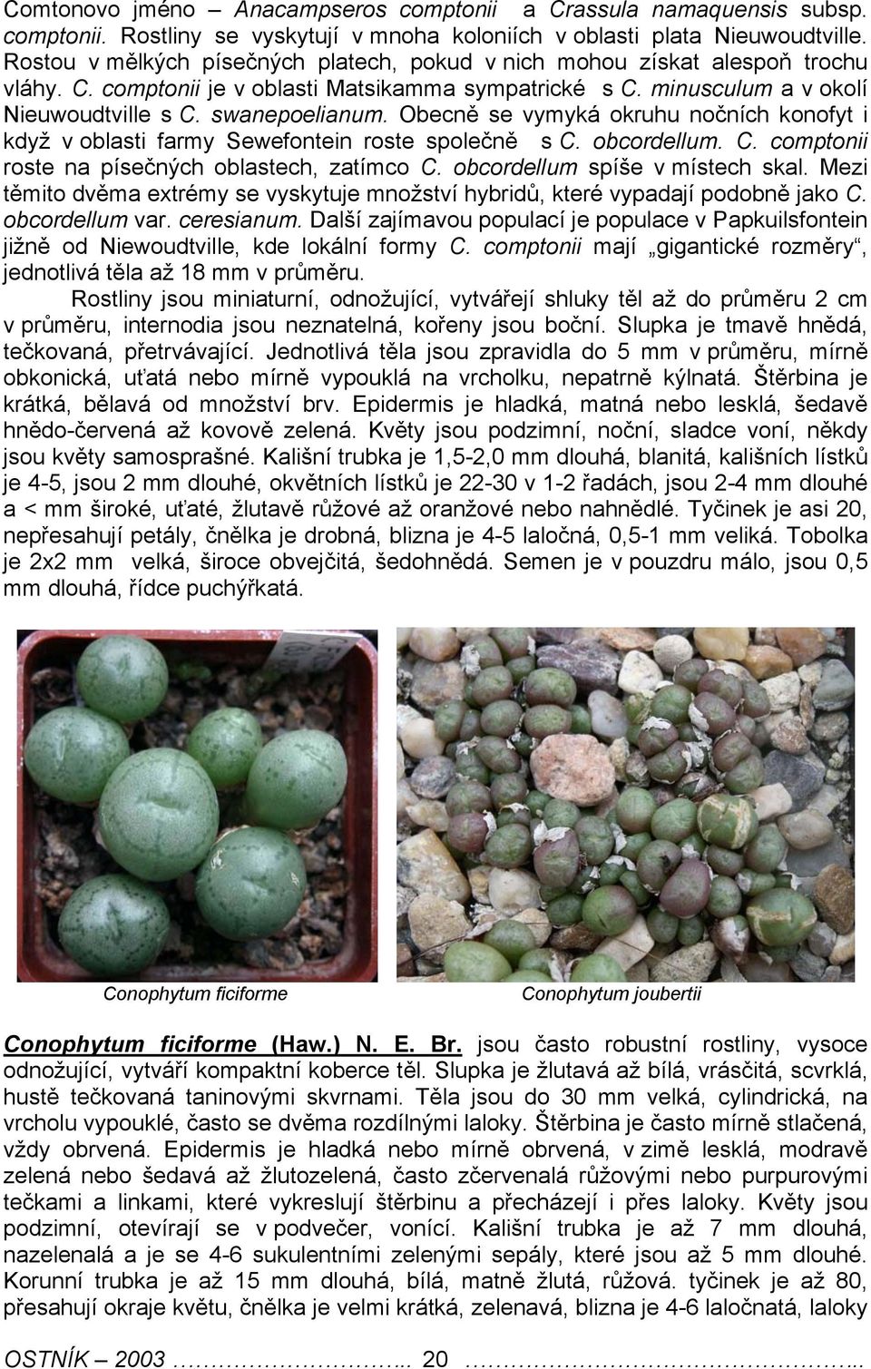 Obcně s vymyká okruhu nočních konofyt i když v oblasti farmy Swfontin rost spolčně s C. obcordllum. C. comptonii rost na písčných oblastch, zatímco C. obcordllum spíš v místch skal.