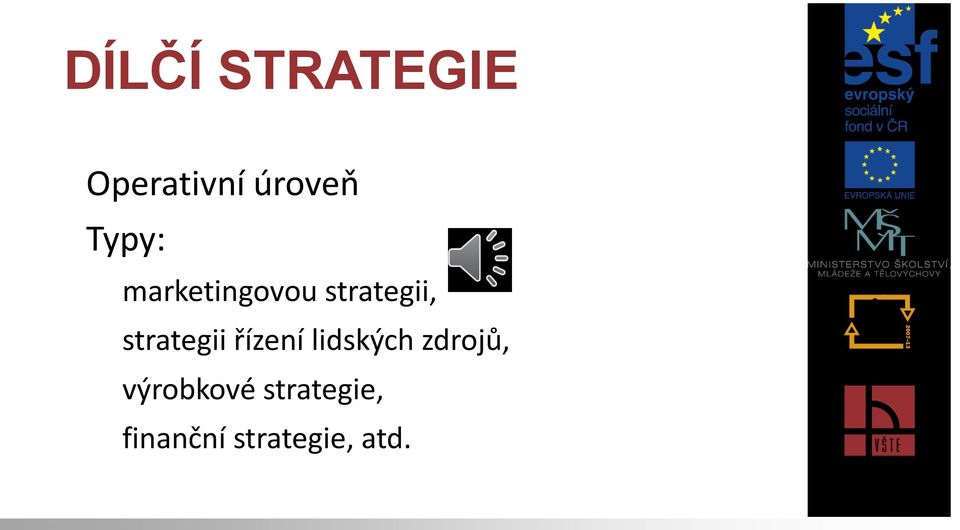 strategii řízení lidských zdrojů,