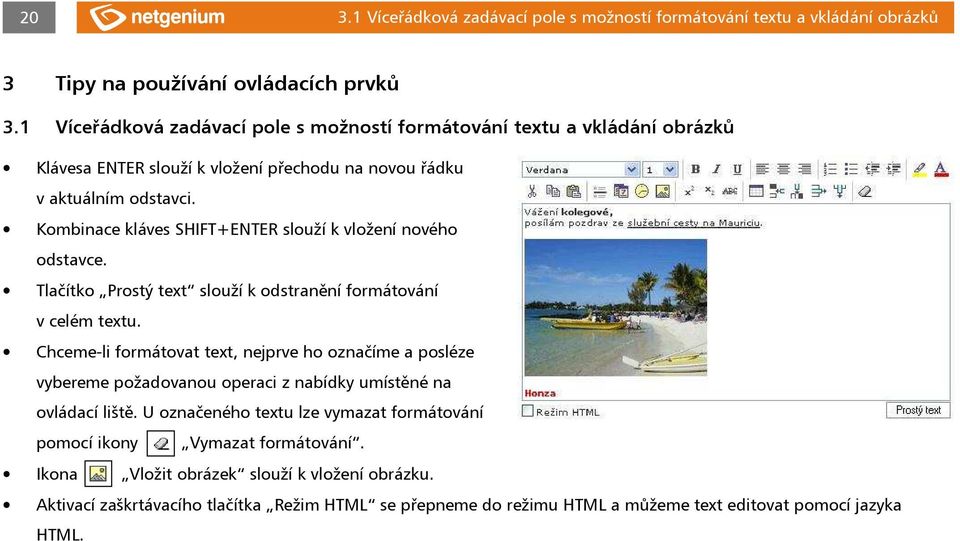 Kombinace kláves SHIFT+ENTER slouží k vložení nového odstavce. Tlačítko Prostý text slouží k odstranění formátování v celém textu.