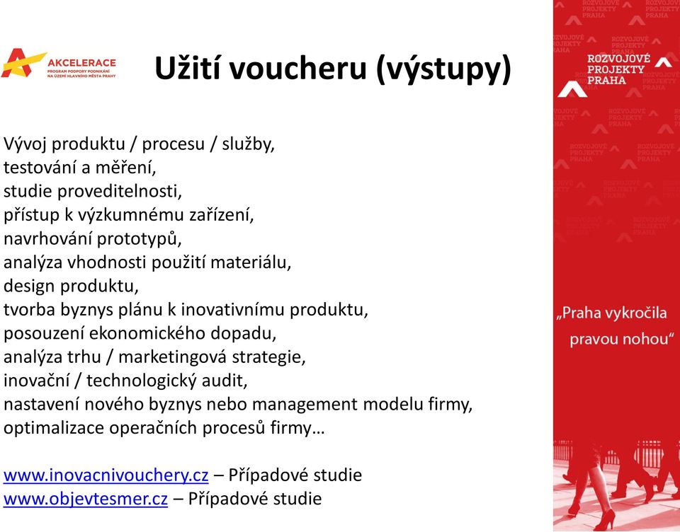 posouzení ekonomického dopadu, analýza trhu / marketingová strategie, inovační / technologický audit, nastavení nového byznys nebo