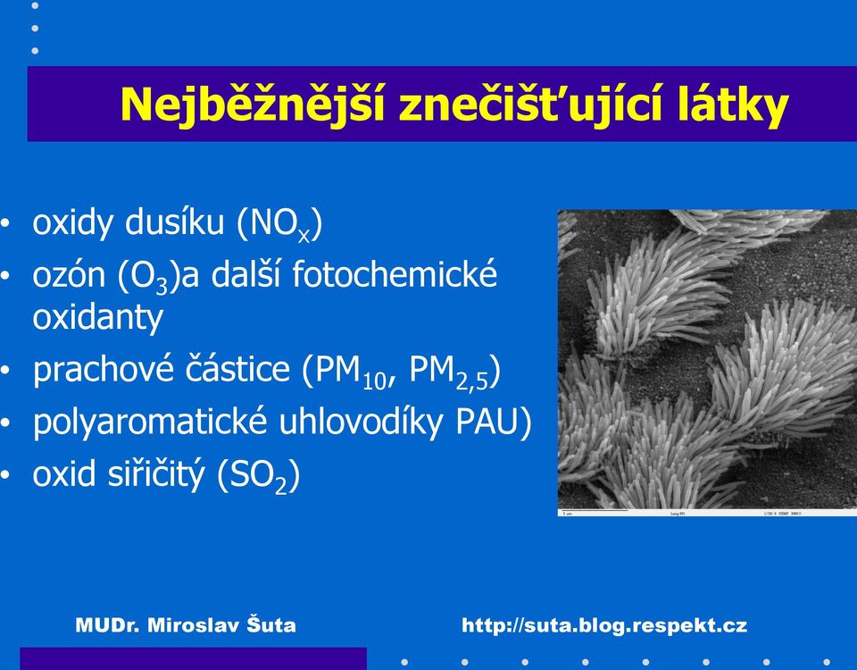 oxidanty prachové částice (PM 10, PM 2,5 )