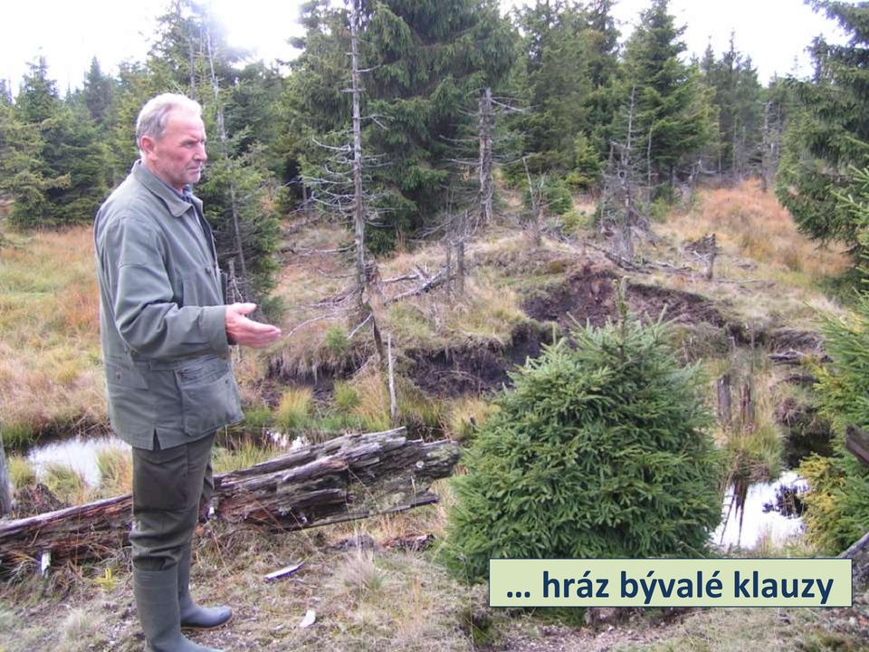 klauzy