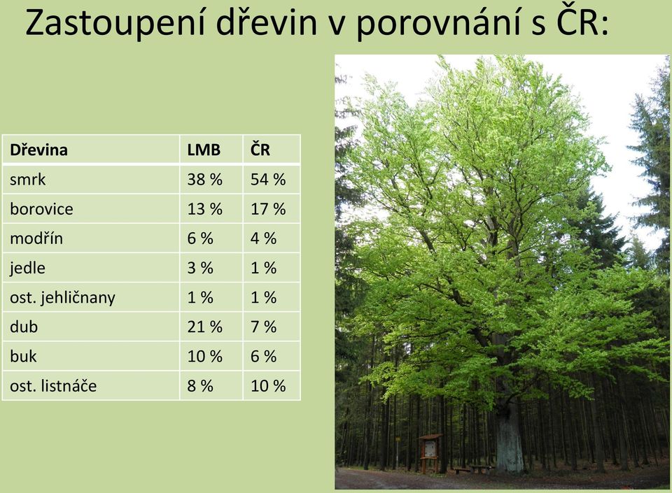 modřín 6 % 4 % jedle 3 % 1 % ost.