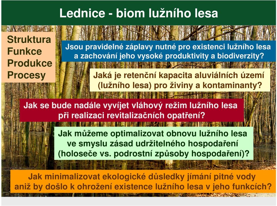 Jak se bude nadále vyvíjet vláhový režim lužního lesa při realizaci revitalizačních opatření?