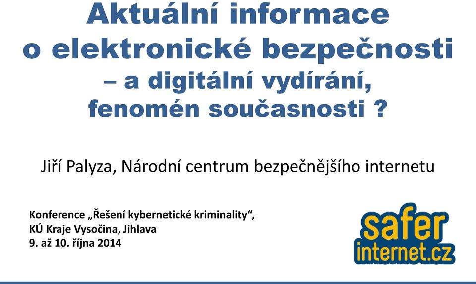 Jiří Palyza, Národní centrum bezpečnějšího internetu