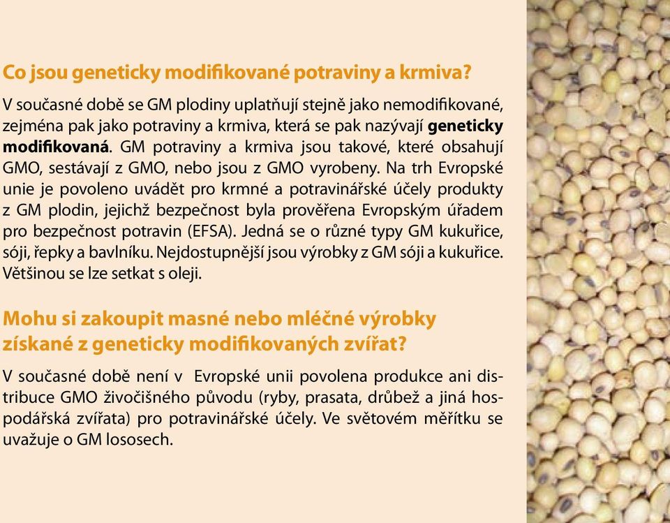 GM potraviny a krmiva jsou takové, které obsahují GMO, sestávají z GMO, nebo jsou z GMO vyrobeny.