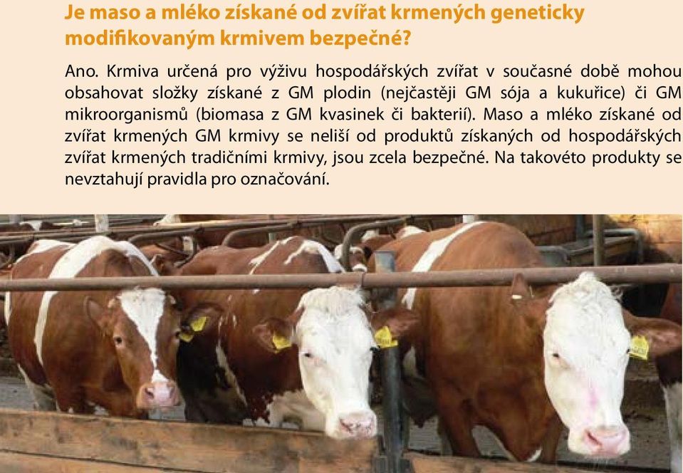 a kukuřice) či GM mikroorganismů (biomasa z GM kvasinek či bakterií).