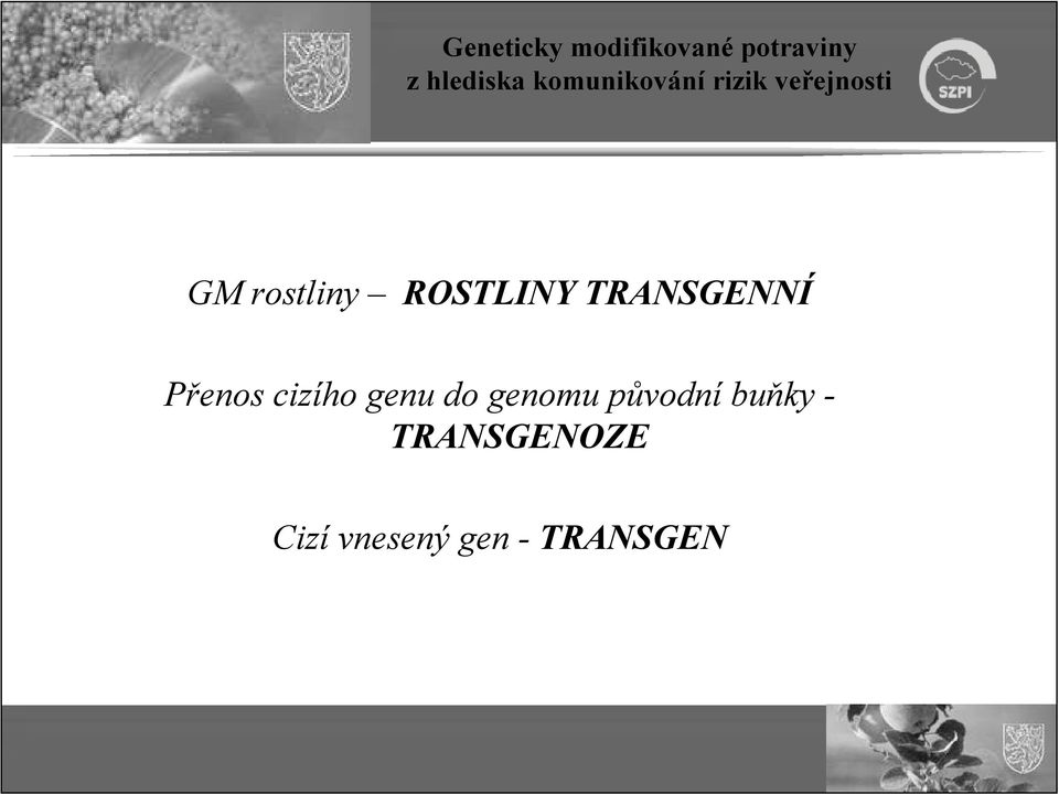 genu do genomu původní buňky