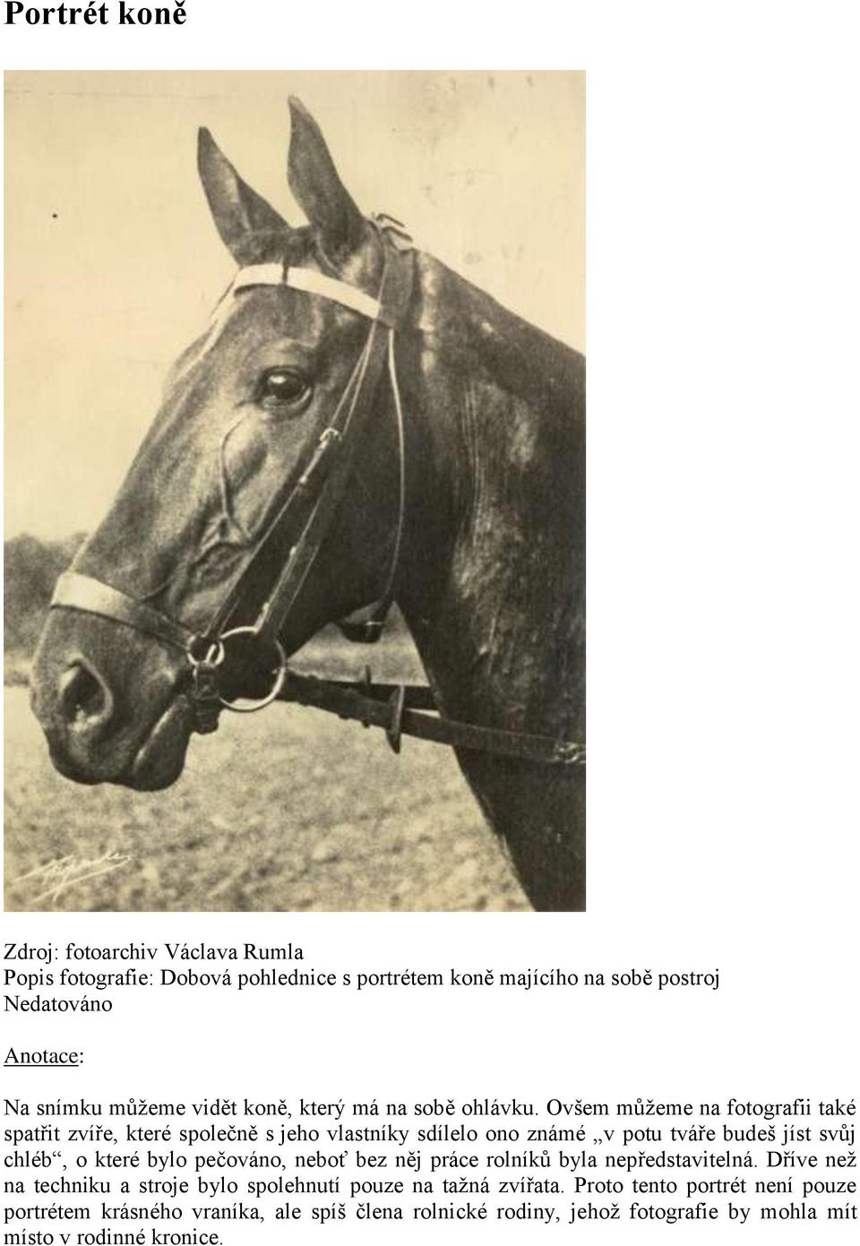 Ovšem můžeme na fotografii také spatřit zvíře, které společně s jeho vlastníky sdílelo ono známé v potu tváře budeš jíst svůj chléb, o které bylo pečováno,